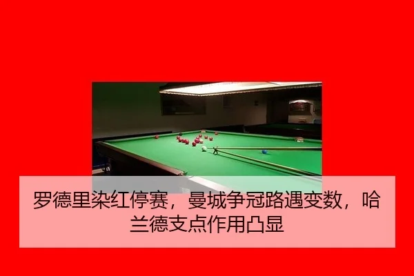 luo-de-li-ran-hong-ting-sai-man-cheng-zheng-guan-lu-yu-bian-shu-ha-lan-de-zhi-dian-zuo-yong-tu-xian-2-828.jpg