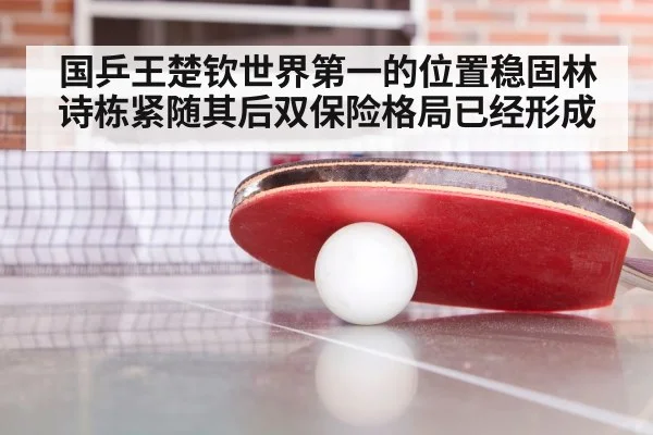 国乒王楚钦世界第一的位置稳固林诗栋紧随其后双保险格局已经形成