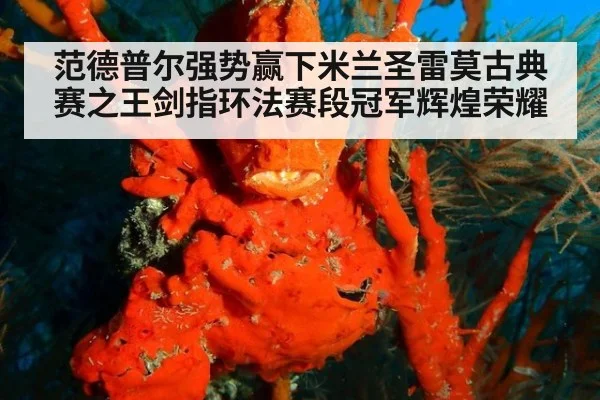 范德普尔强势赢下米兰圣雷莫古典赛之王剑指环法赛段冠军辉煌荣耀